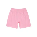 Stussy Big Basic Mesh Short Pink